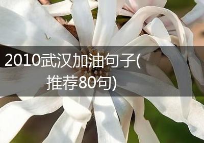 2010武汉加油句子(推荐80句)