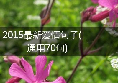 2015最新爱情句子(通用70句)