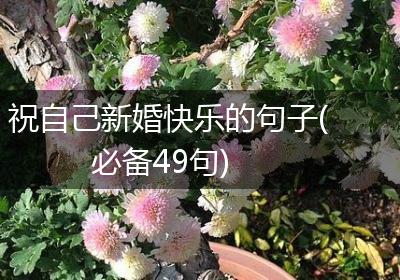 祝自己新婚快乐的句子(必备49句)