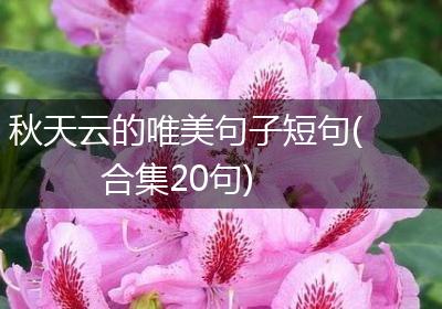 秋天云的唯美句子短句(合集20句)
