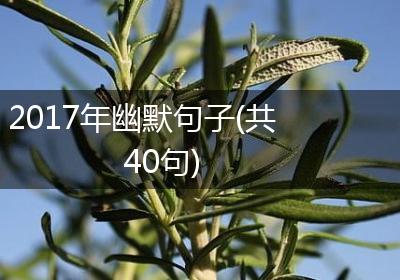 2017年幽默句子(共40句)