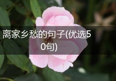 离家乡愁的句子(优选50句)