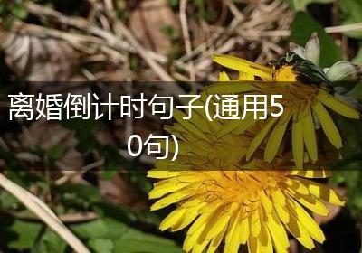 离婚倒计时句子(通用50句)