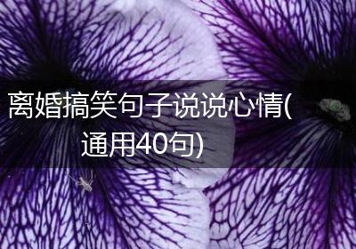 离婚搞笑句子说说心情(通用40句)