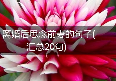 离婚后思念前妻的句子(汇总20句)