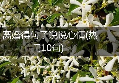 离婚得句子说说心情(热门10句)