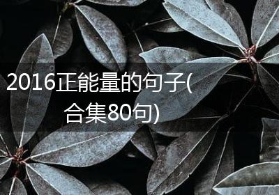 2016正能量的句子(合集80句)