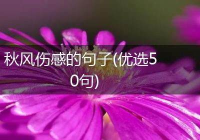 秋风伤感的句子(优选50句)