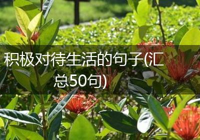积极对待生活的句子(汇总50句)