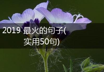 2019 最火的句子(实用50句)