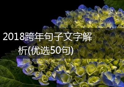 2018跨年句子文字解析(优选50句)