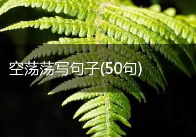 空荡荡写句子(50句)