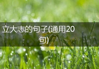立大志的句子(通用20句)