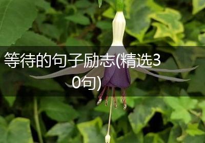 等待的句子励志(精选30句)
