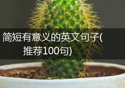 简短有意义的英文句子(推荐100句)