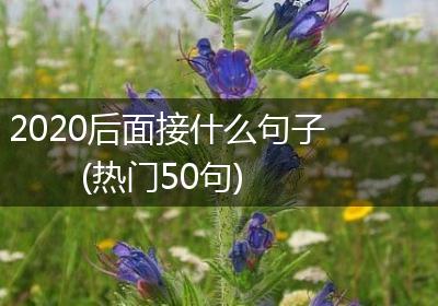 2020后面接什么句子(热门50句)