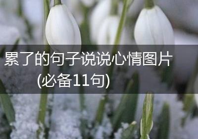 累了的句子说说心情图片(必备11句)