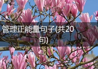 管理正能量句子(共20句)