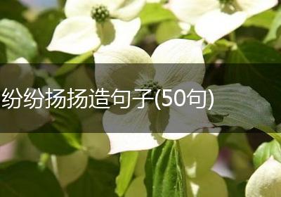纷纷扬扬造句子(50句)