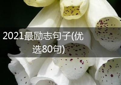 2021最励志句子(优选80句)