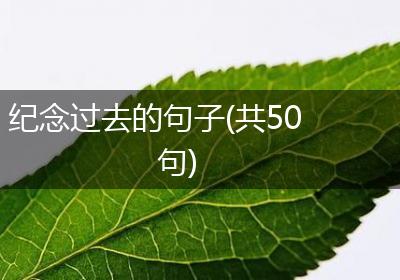纪念过去的句子(共50句)