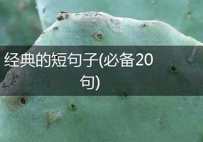 经典的短句子(必备20句)