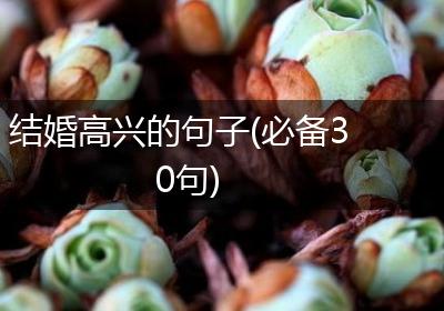 结婚高兴的句子(必备30句)