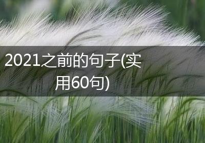 2021之前的句子(实用60句)