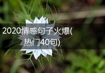 2020情感句子火爆(热门40句)