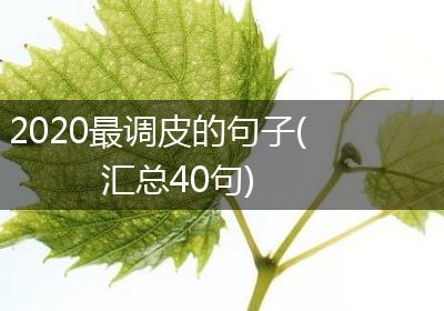2020最调皮的句子(汇总40句)