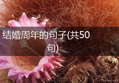 结婚周年的句子(共50句)