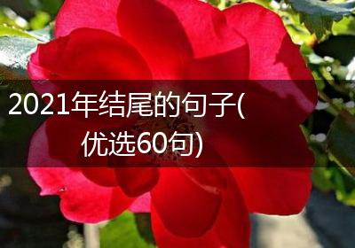 2021年结尾的句子(优选60句)