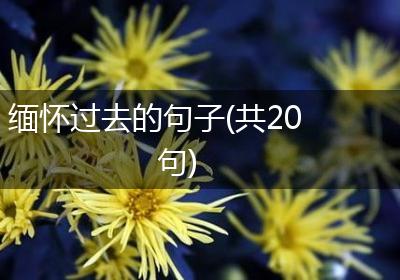 缅怀过去的句子(共20句)