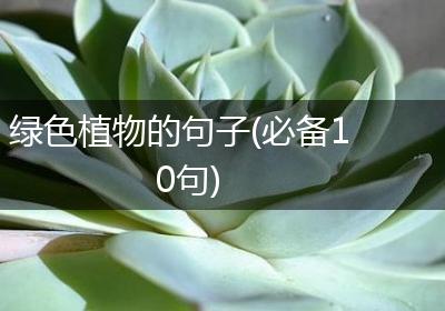 绿色植物的句子(必备10句)