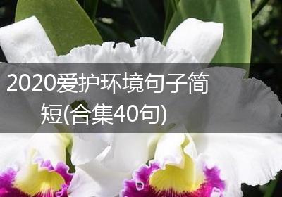 2020爱护环境句子简短(合集40句)