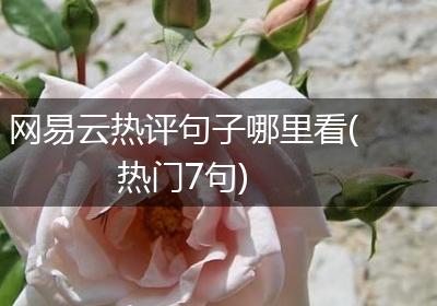 网易云热评句子哪里看(热门7句)