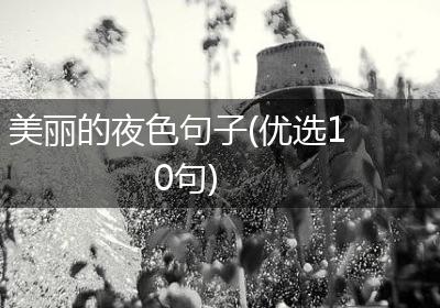 美丽的夜色句子(优选10句)