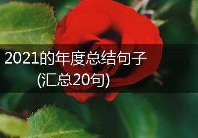 2021的年度总结句子(汇总20句)