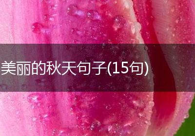 美丽的秋天句子(15句)