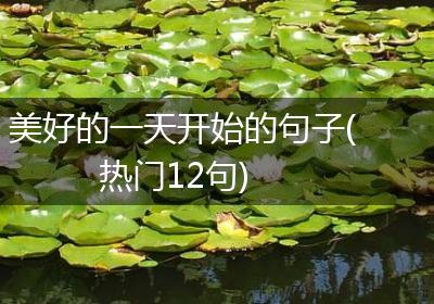 美好的一天开始的句子(热门12句)