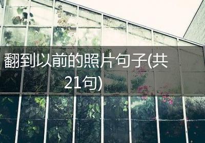 翻到以前的照片句子(共21句)
