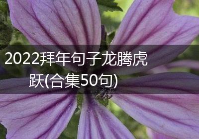 2022拜年句子龙腾虎跃(合集50句)