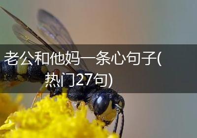 老公和他妈一条心句子(热门27句)