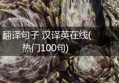 翻译句子 汉译英在线(热门100句)