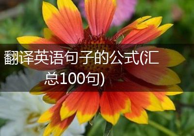 翻译英语句子的公式(汇总100句)