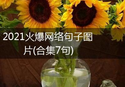 2021火爆网络句子图片(合集7句)