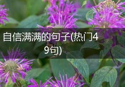 自信满满的句子(热门49句)