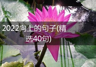 2022向上的句子(精选40句)