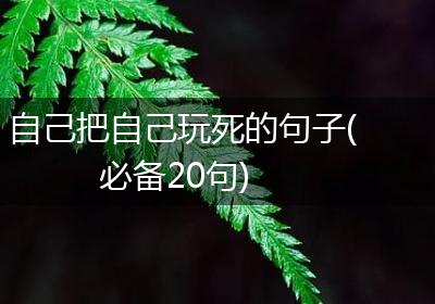 自己把自己玩死的句子(必备20句)
