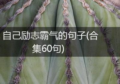 自己励志霸气的句子(合集60句)